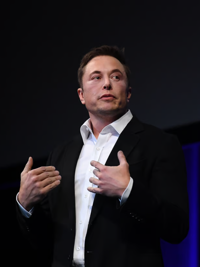 Elon Musk's net worth in 2024